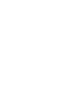 Celeritas